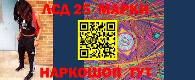 индика Пыть-Ях