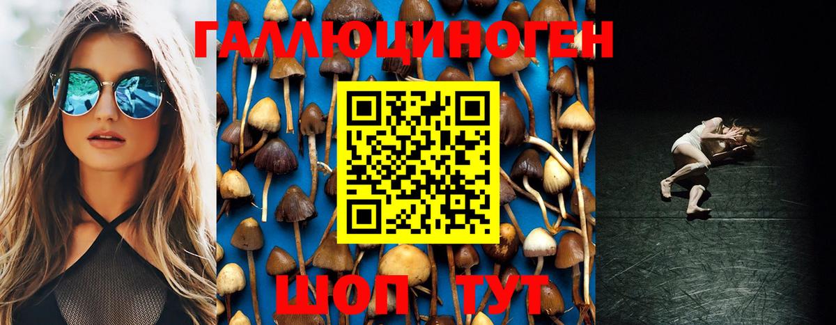 Псилоцибиновые грибы Psilocybine cubensis  Вход с VPN  Саратов 