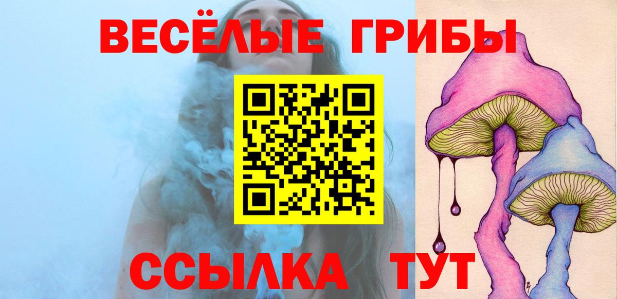 Псилоцибиновые грибы Cubensis Саратов